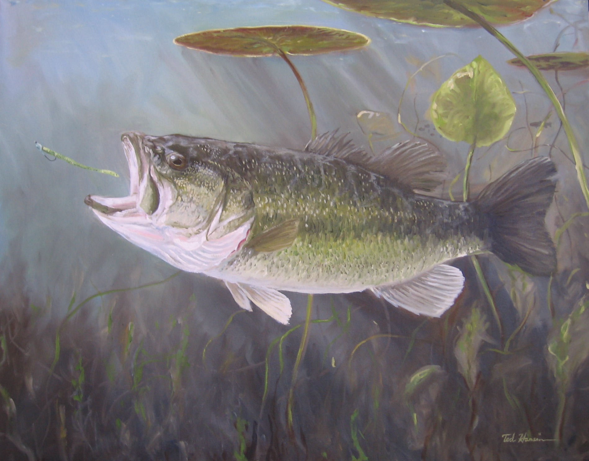 Bass Fishing Tip: Go Slow for Spring Largemouth